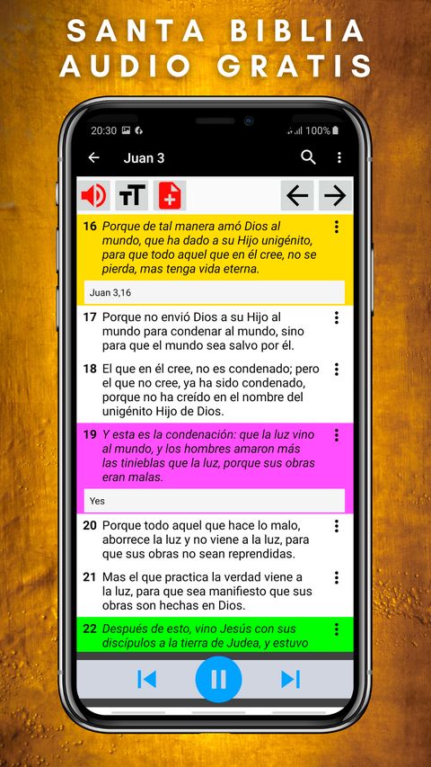 Santa Biblia – Reina Valera – Audio – Gratis — screenshot 6