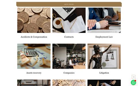 Burzynski & Associates — preview