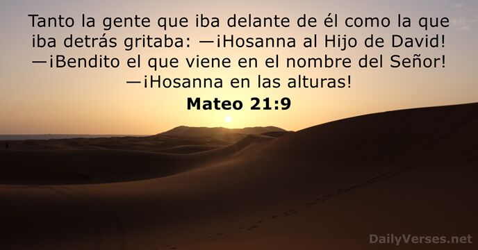 Mateo 21,9