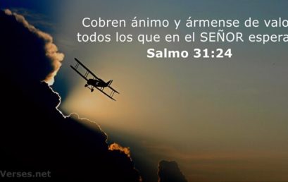 Salmo 31,24