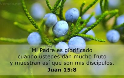 Juan 15:8