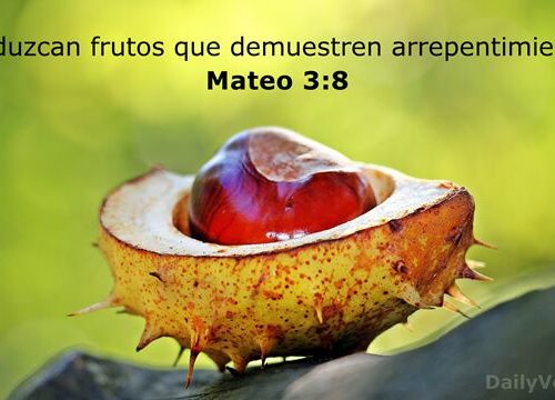Mateo 3:8