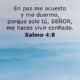 Salmo 4:8 - verso al día - Santa Biblia - dream-apps.pl